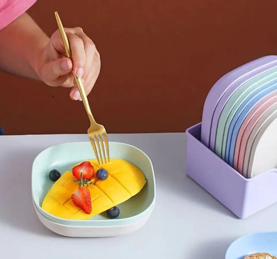 Buy 5 Get 5 Free Sale Offer - Imported 10 Pcs Set of Dish Plates with Free Holder in Rs 1099 Only - Trendy and Stylish