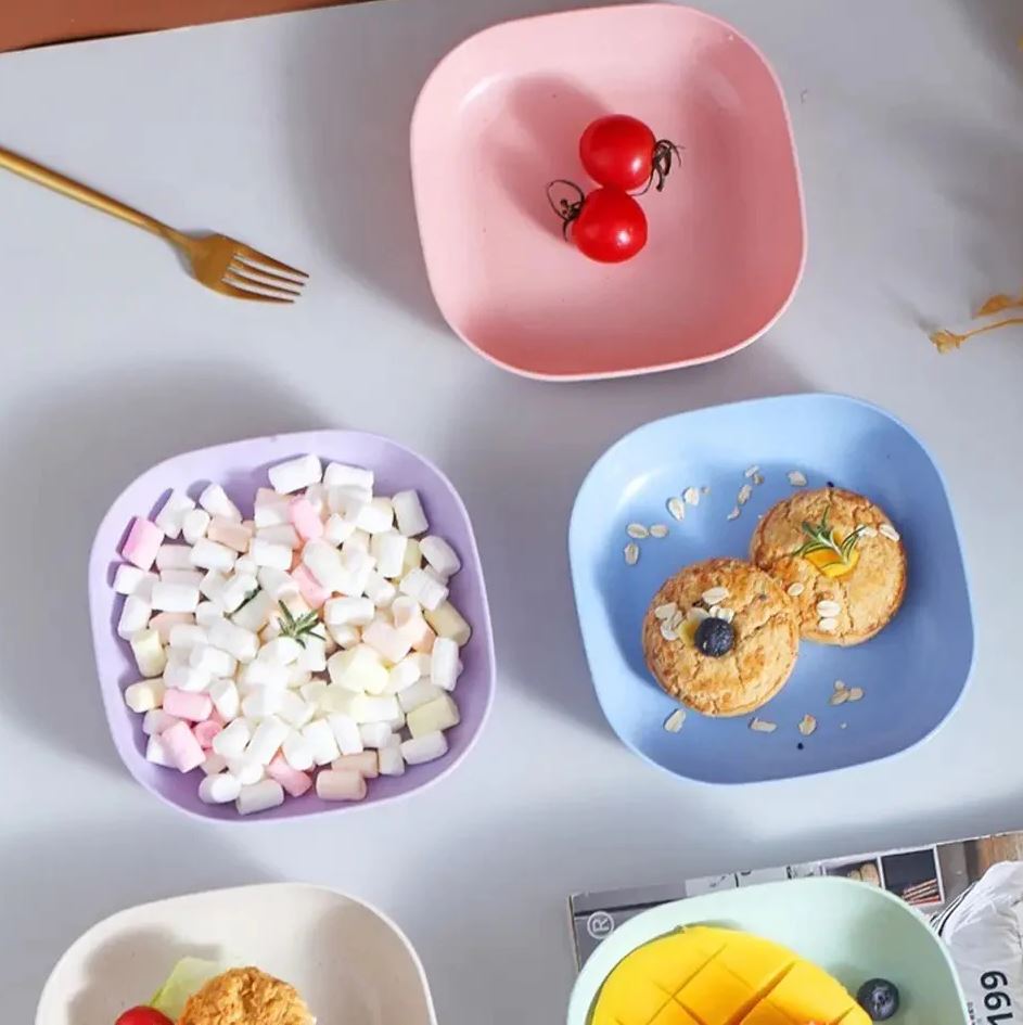 Buy 5 Get 5 Free Sale Offer - Imported 10 Pcs Set of Dish Plates with Free Holder in Rs 1099 Only - Trendy and Stylish